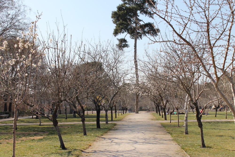 Parque del Retiro. Verde de Madrid